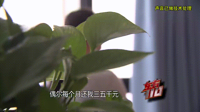 介绍个信用网址多少
_37岁痴情女子倾尽百万泡面果腹仍坚持转账：帮介绍个信用网址多少
他有种使命感