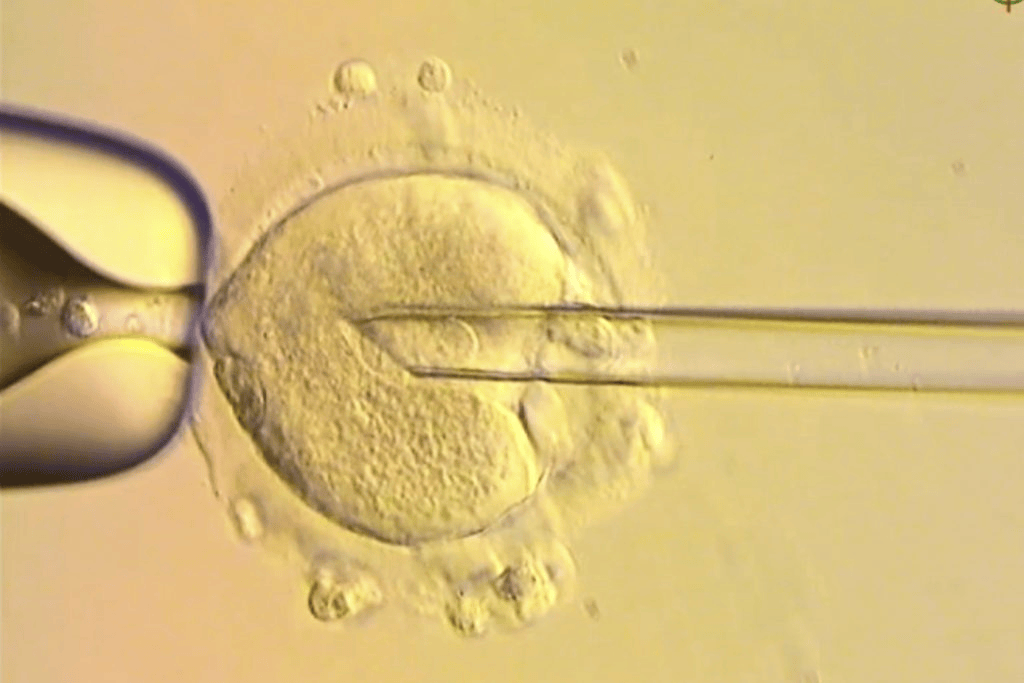 皇冠信用網怎么申请
_世界首创!英国成功结合3人基因诞生婴儿截断遗传病传播皇冠信用網怎么申请
,已有8名婴儿出生