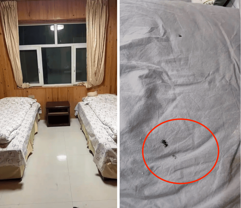 克罗地亚足球联赛_99元豪华游克罗地亚足球联赛，被骗到内裤不剩