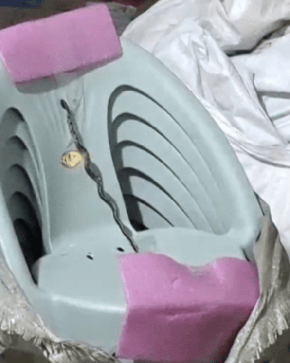 皇冠信用网怎么申请_太吓人!云南女子网购塑料凳皇冠信用网怎么申请,拆开竟发现一条蛇被胶带粘在椅子上!还在动