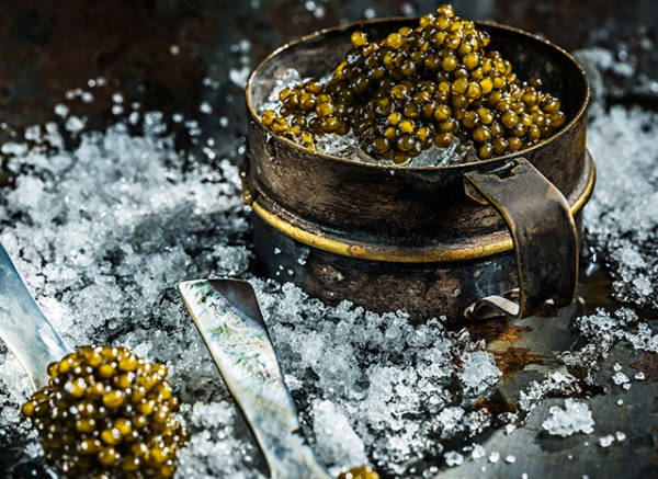 皇冠比分
_“在法国皇冠比分
,可以毫无顾虑地说,这些鱼子酱产自中国”