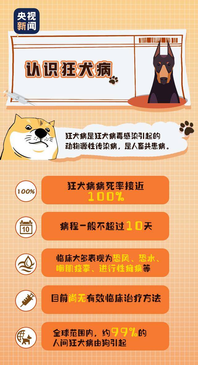 皇冠登2代理_今年起皇冠登2代理，遛狗不拴绳最重拘留10日罚1000元！