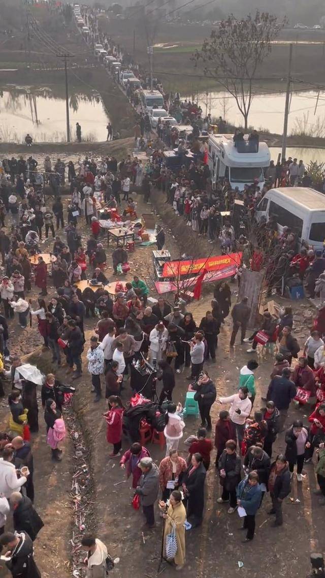 皇冠b盘
_两头猪何以引发全网狂欢皇冠b盘
?丨顶端观察