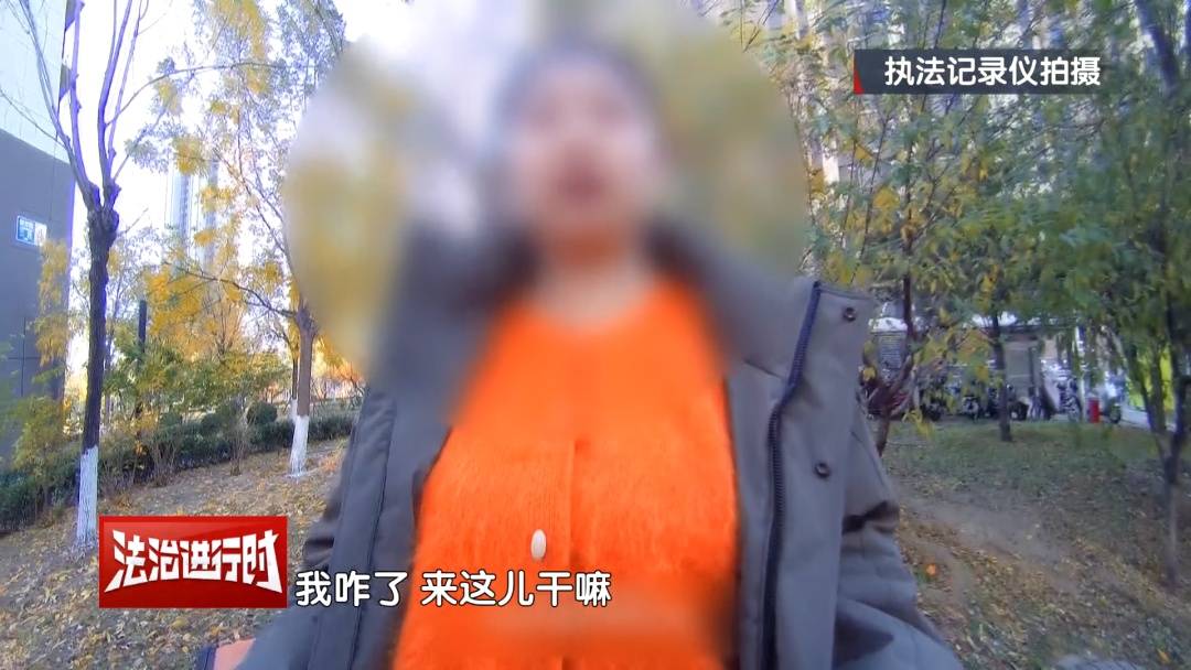 皇冠信用网代理
_北京警方刑拘4人:父亲带着儿子和女儿“扫楼式盗窃快递”