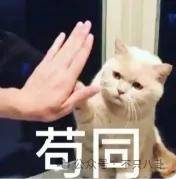 皇冠信用网代理_要结婚了皇冠信用网代理?恋情居然瞒了整整六年......